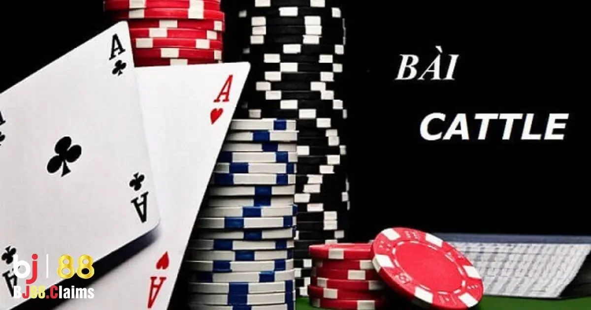 Cách Chơi Bài Catte Tại BJ88: Quy Tắc Và Mẹo Thắng 4 Những Lưu Ý Khi Chơi Bài Catte Trên BJ88
