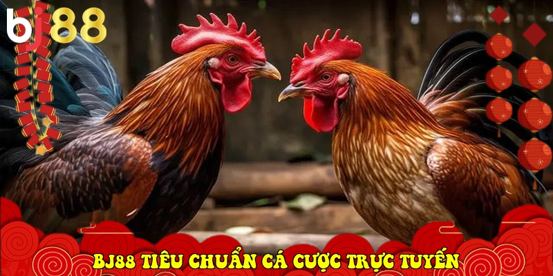BJ88 x&aacute;c lập ti&ecirc;u chuẩn c&aacute; cược trực tuyến