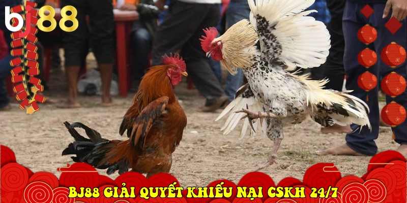 BJ88 giải quyết khiếu nại CSKH 24/7