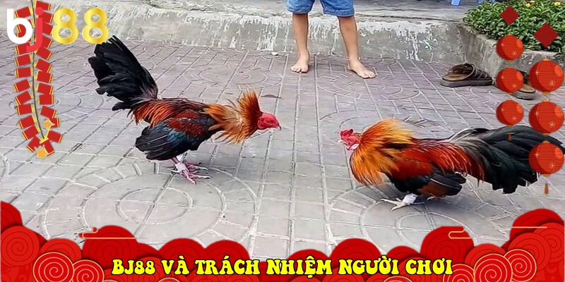 BJ88 v&agrave; tr&aacute;ch nhiệm người chơi