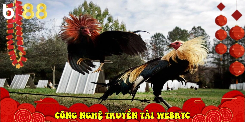 c&ocirc;ng nghệ truyền tải WebRTC